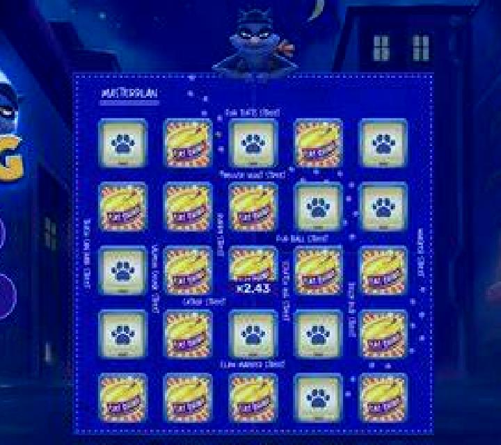 Cat-Ching slot
