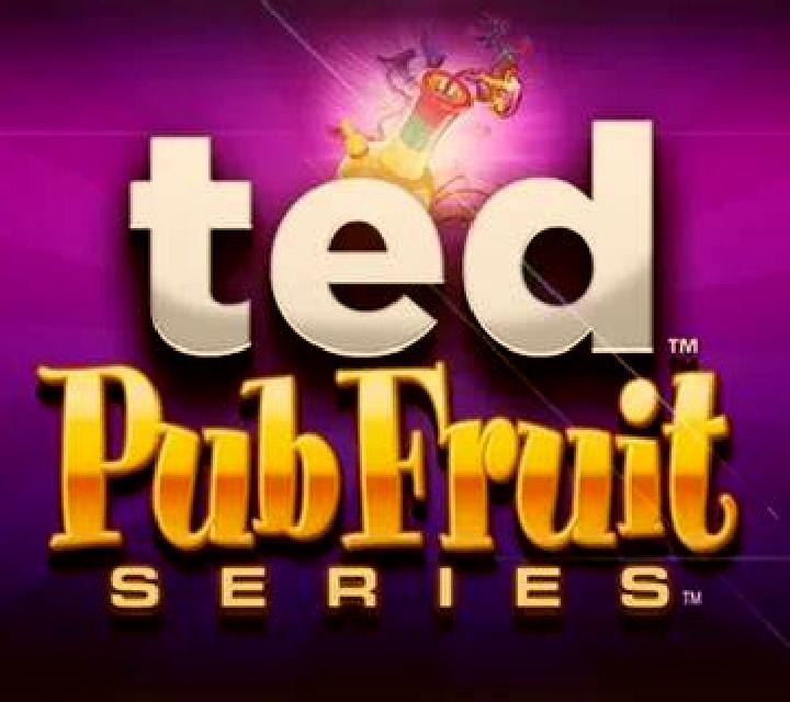 Ted Pub Fruit Series slot