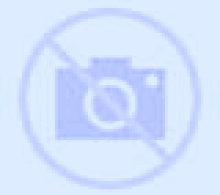 Trailblazer (Blueprint) slot